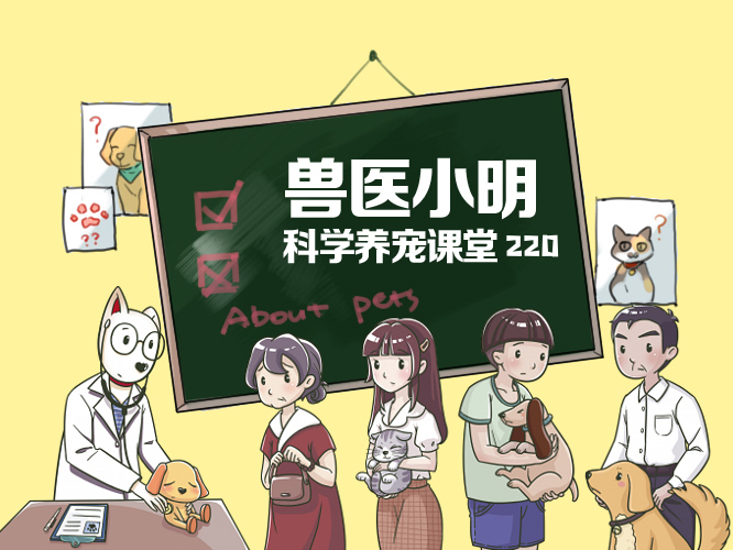东北猫价格便宜，到底能不能买？答应我，以后别再问类似的问题