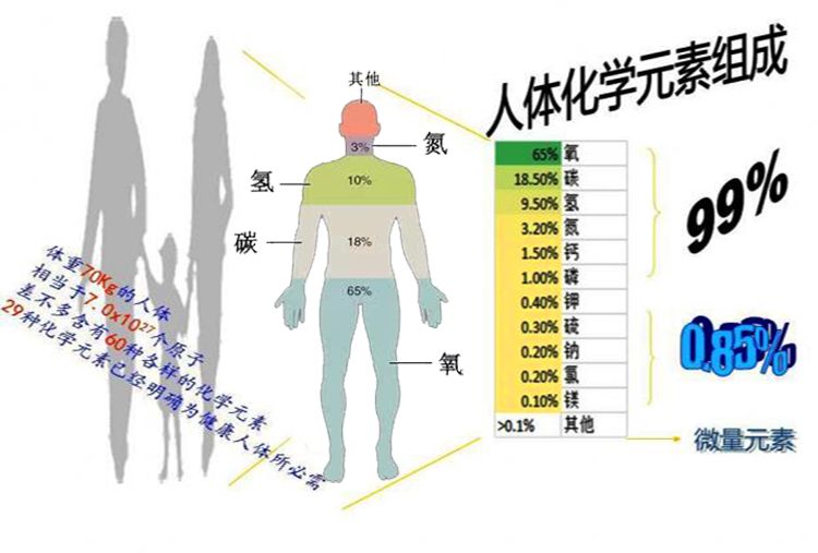 鬼火的原理图片