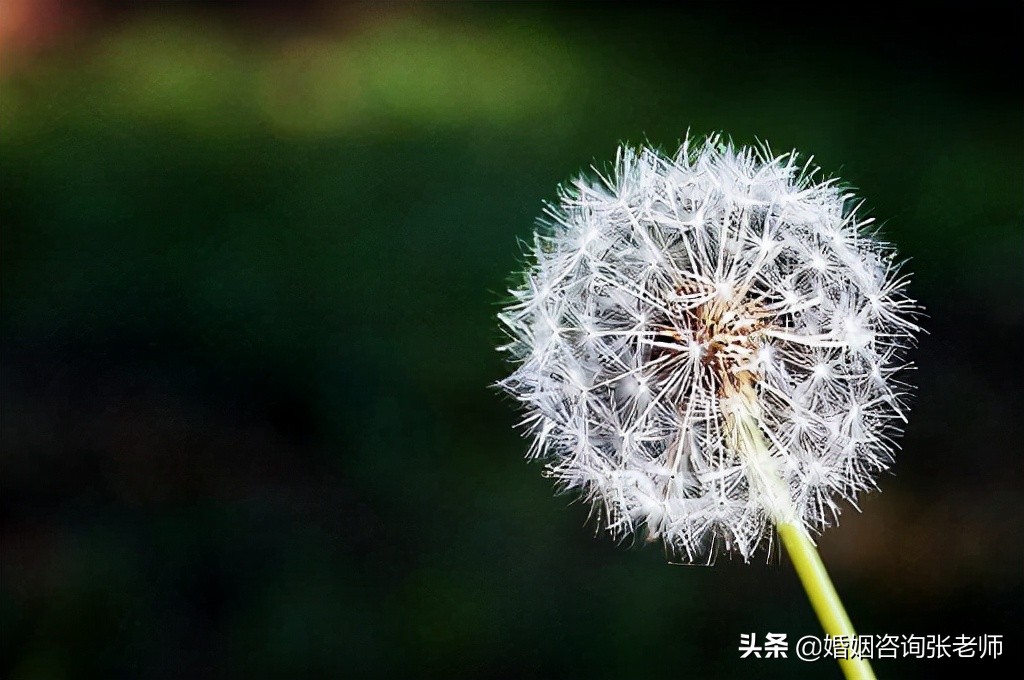 婚姻：出轨后，你能得到的最好的帮助，就是帮你慢下来