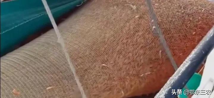 渔民在大海捕捞，下一次海能捞100多吨鱼虾上船立即冰冻，真赚钱