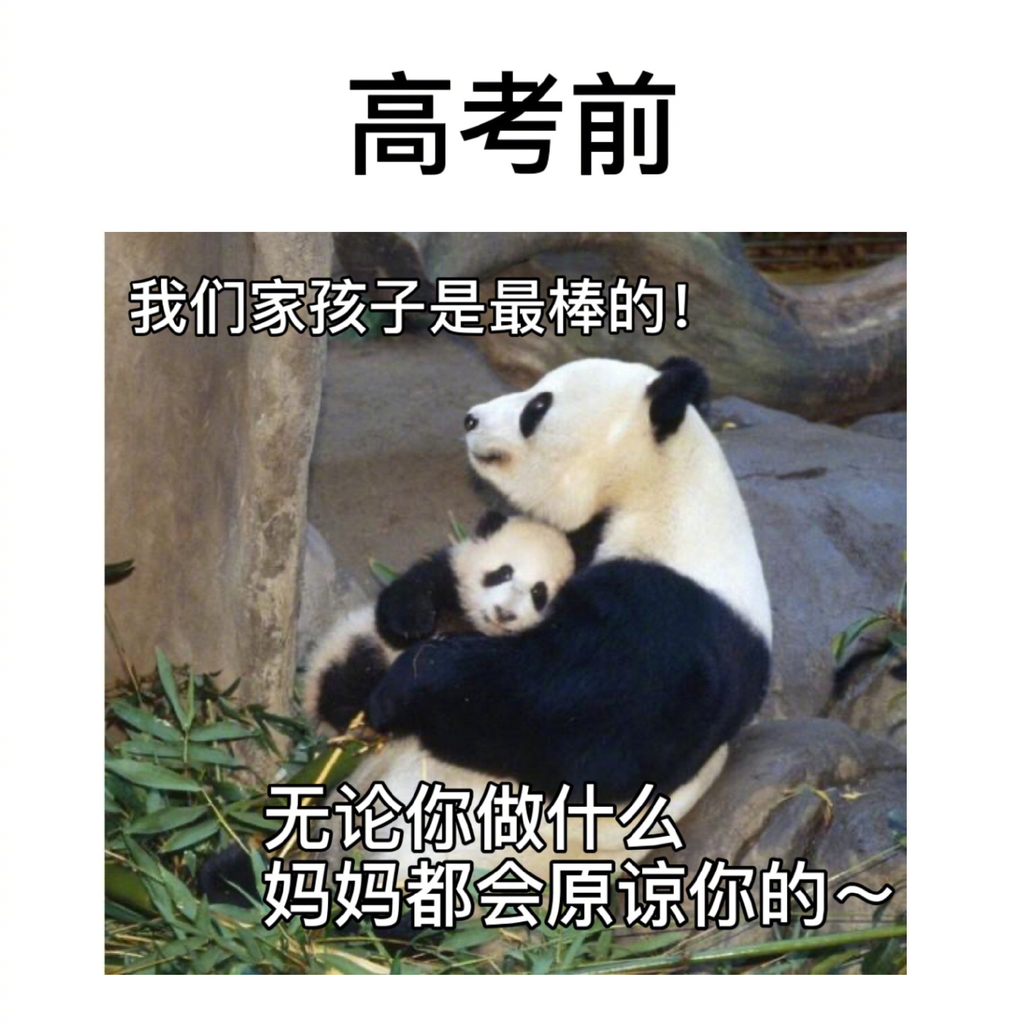 在父母眼中，“高考前后”地位变化有多大？这几张图真实得扎心了