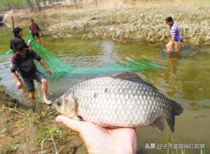 康仔农人：广西半百袖珍老人，他凭什么半年涨粉近千万？