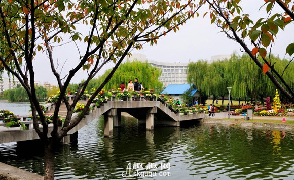 上海大学发布2021年招生简章，解读艺术强校应该把握的问题？