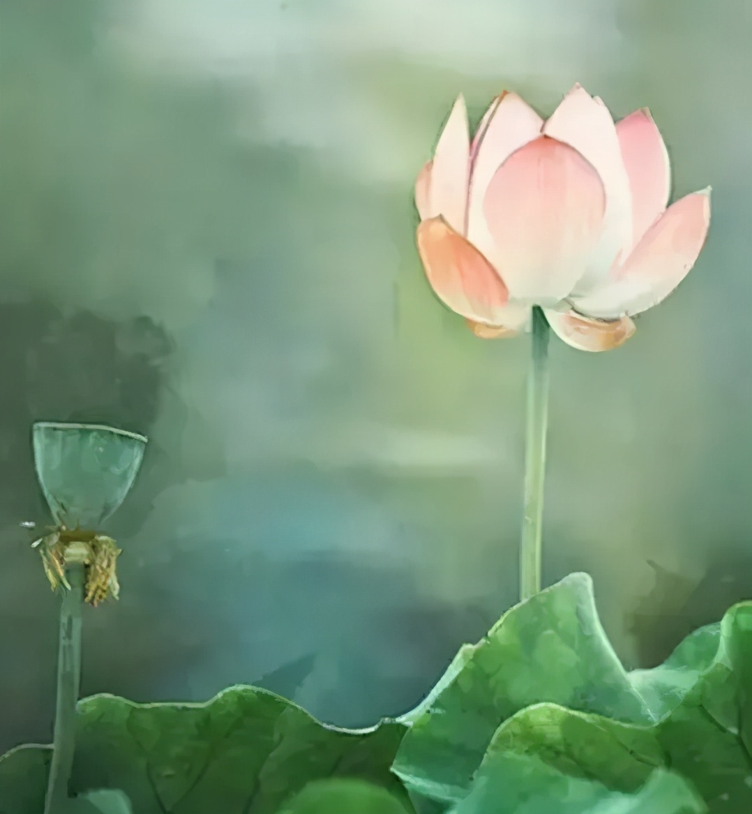 坚持到底的故事(为什么工资低还有人做)