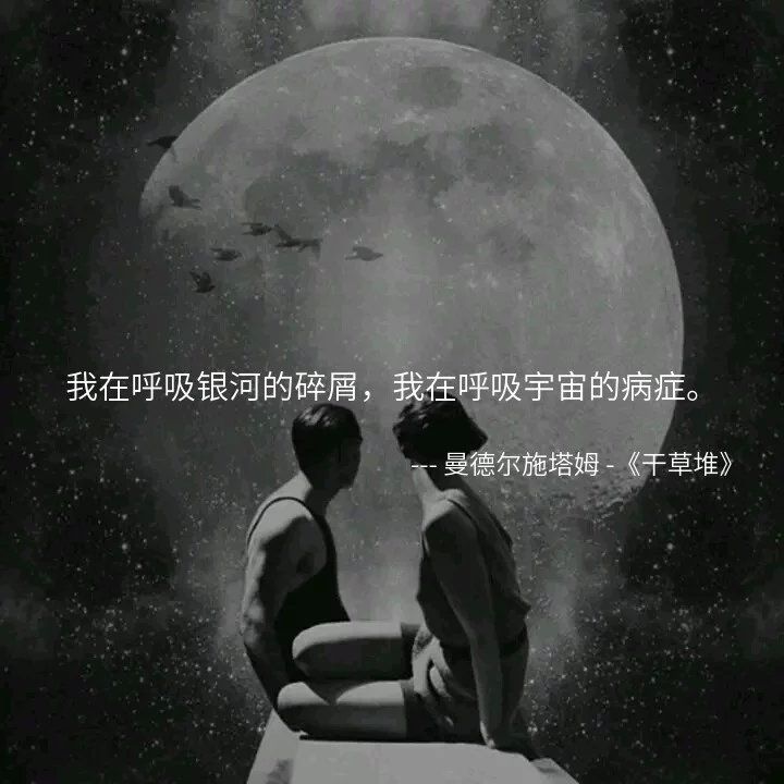 14个冷艳的小句子：回忆是涂满剧毒的利刃，专刺多愁善感的人