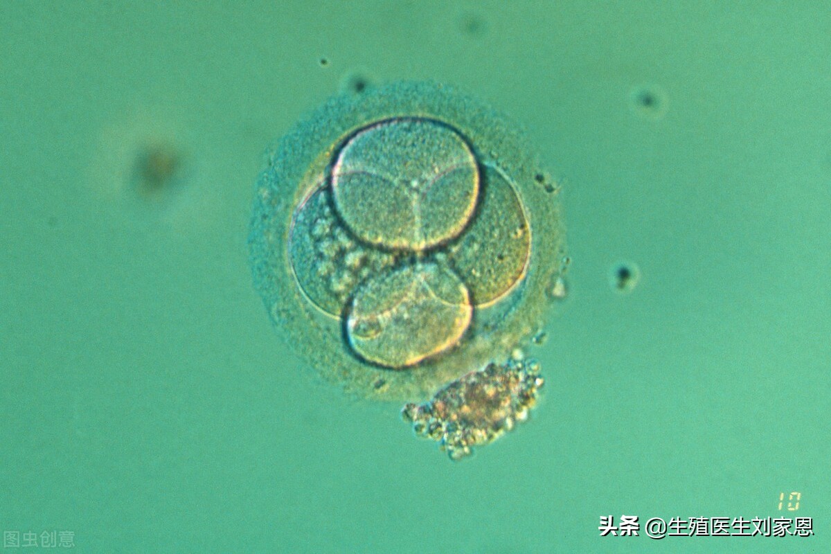 怀不上孩子究竟该人工授精还是试管婴儿？