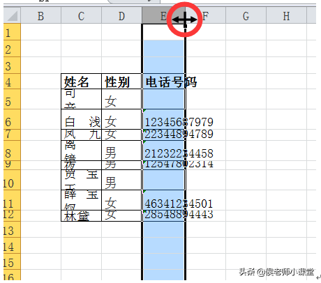 办公软件操作技巧012：如何调整excel表格的行高与列宽