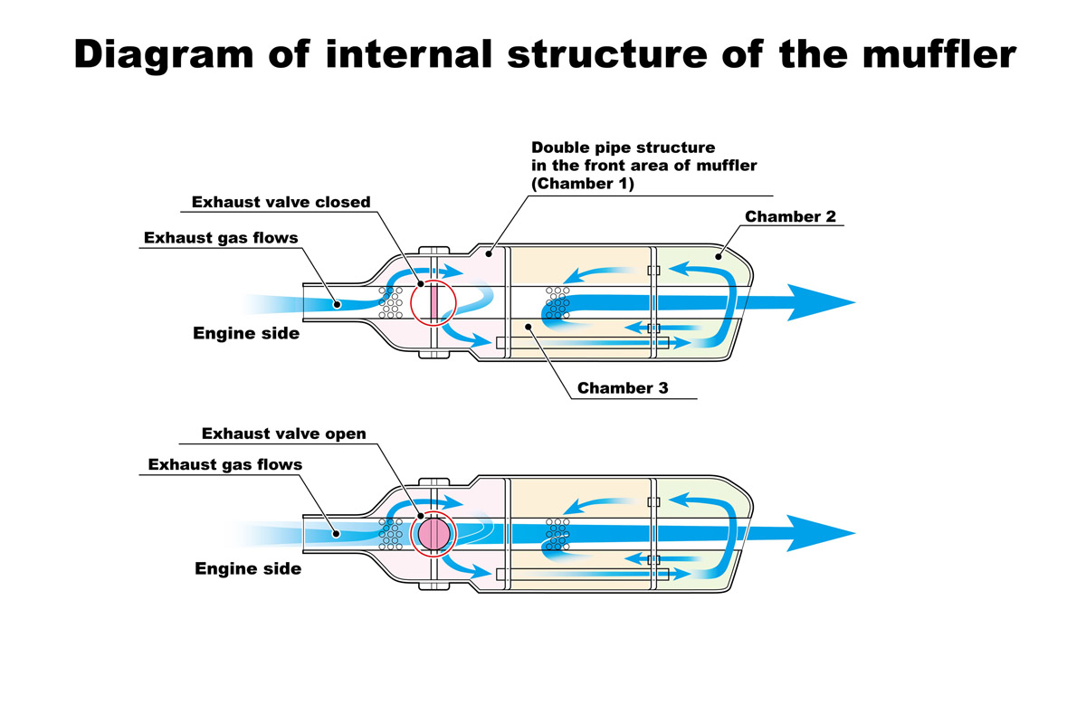 排气管解剖图图片