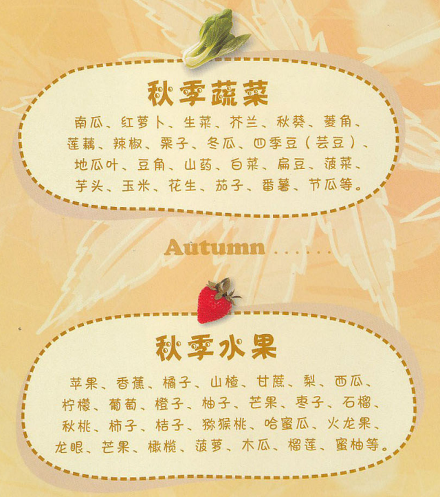 素菜菜谱,素菜菜谱大全家常菜