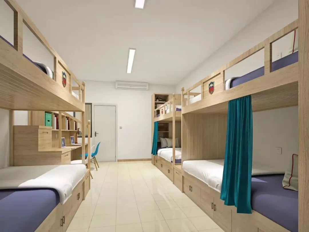 城北高端私立学校！新川vs巴德，选哪所更明智？