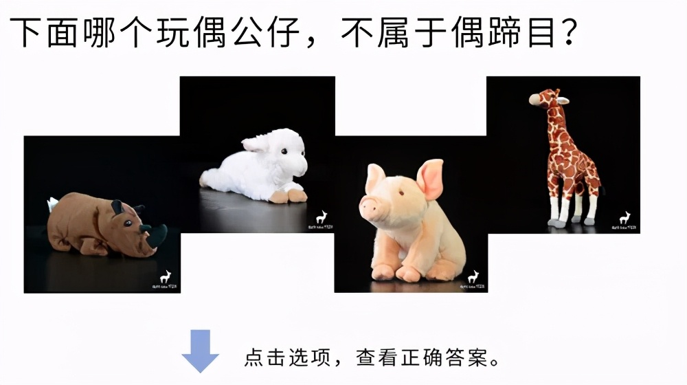 高考大作战！20道冷门又难解的试题等你来解答