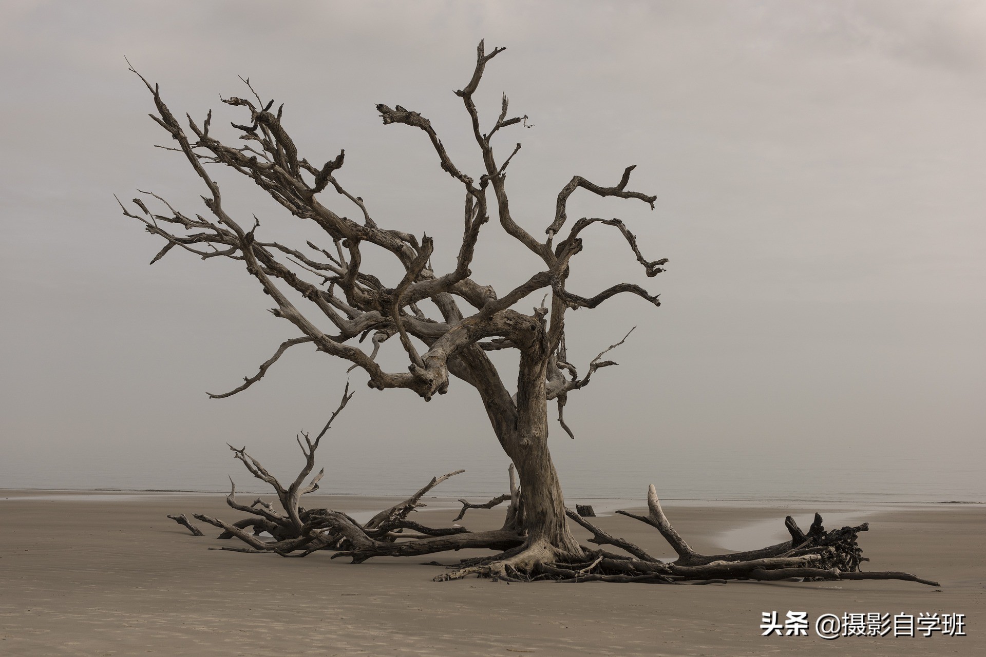 拍风景的10个好用摄影技巧，不再浪费美景，帮你轻松拍出大片