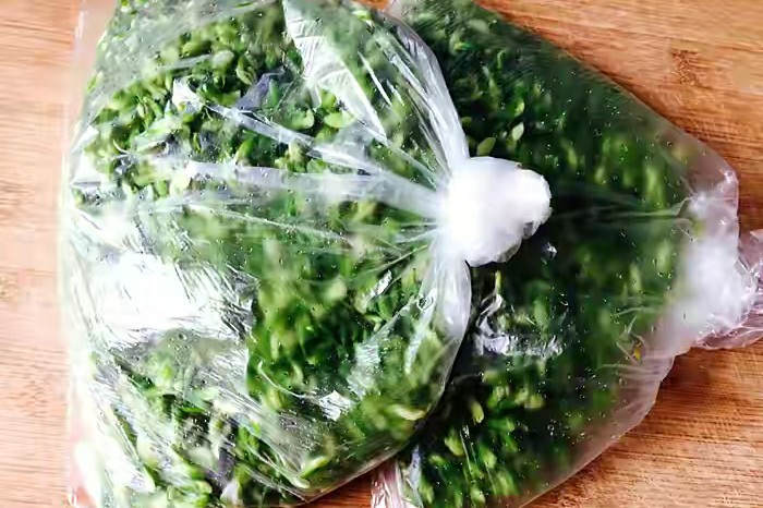 吃了30年槐花，才知道用这种方法就能保存起来，放一整年都不会坏