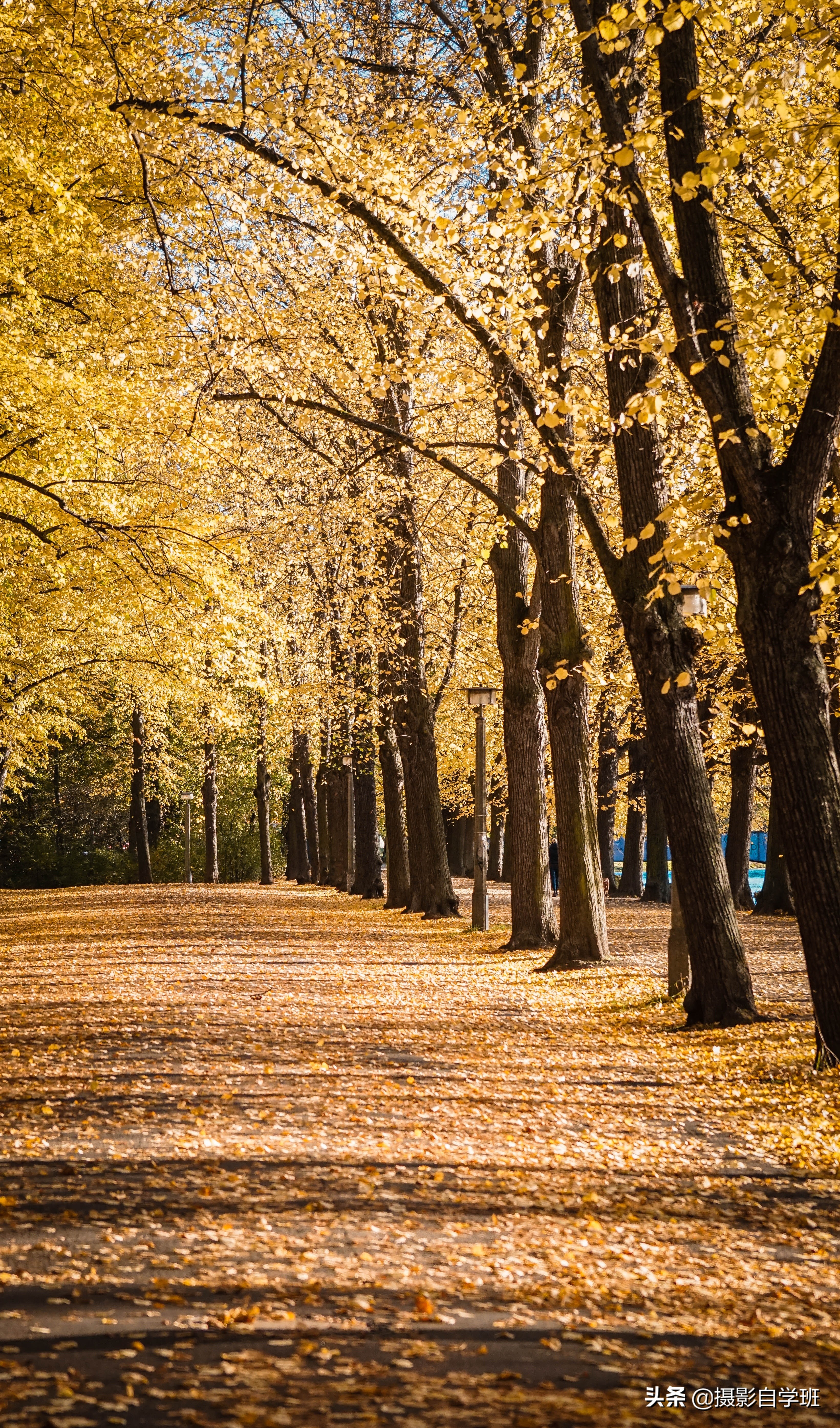 picsart素材底图片(拍秋天的7个摄影技巧) - 赤虎壹号