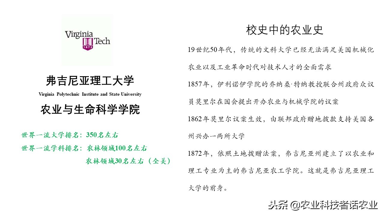 中国农大，荷兰农大，美国农大，日本农大，谁是世界第一农大