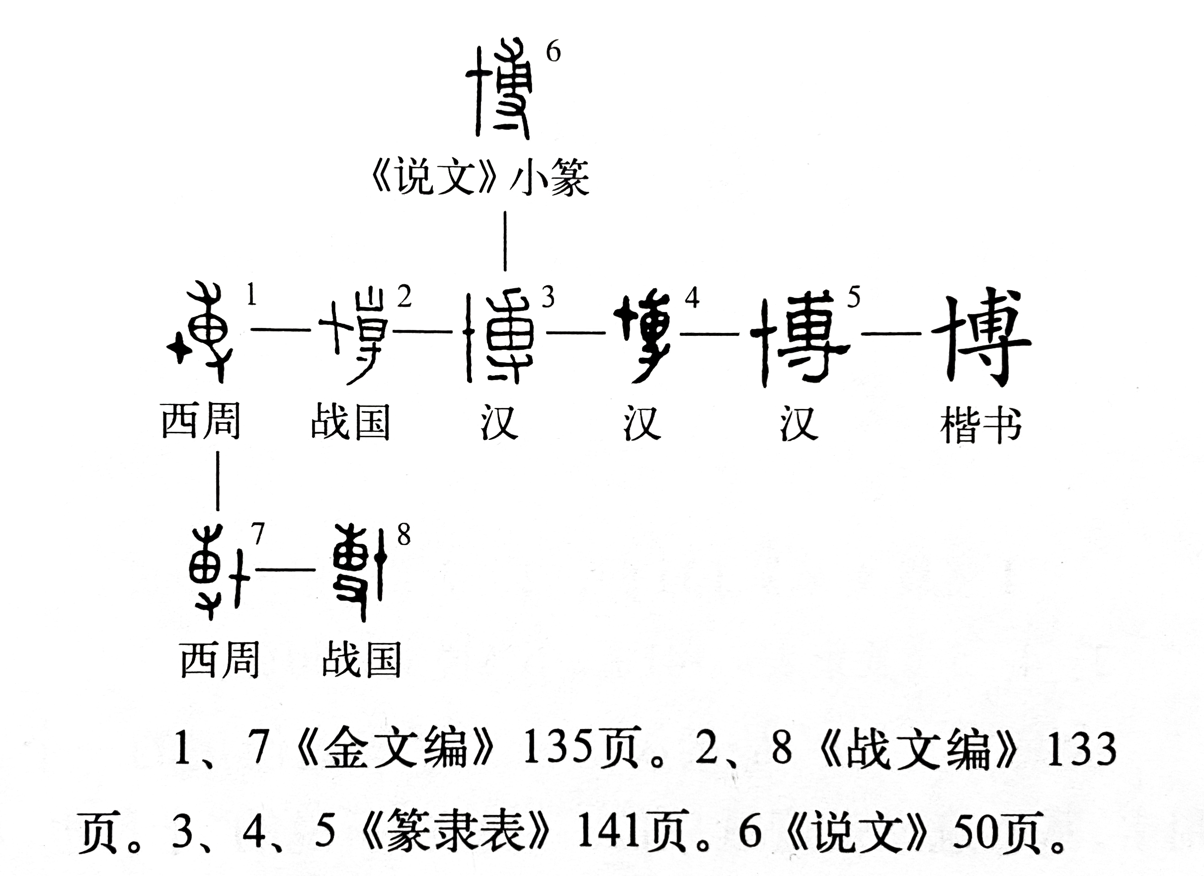 《说文解字》第377课:文字学说,要成为"博"士,先"搏"斗