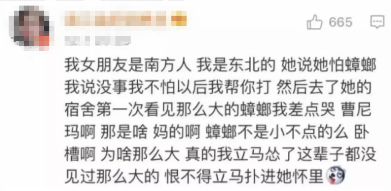 广州一大厦“两眼发光”似蟑螂，北方网友吓坏:南方蟑螂这么大?