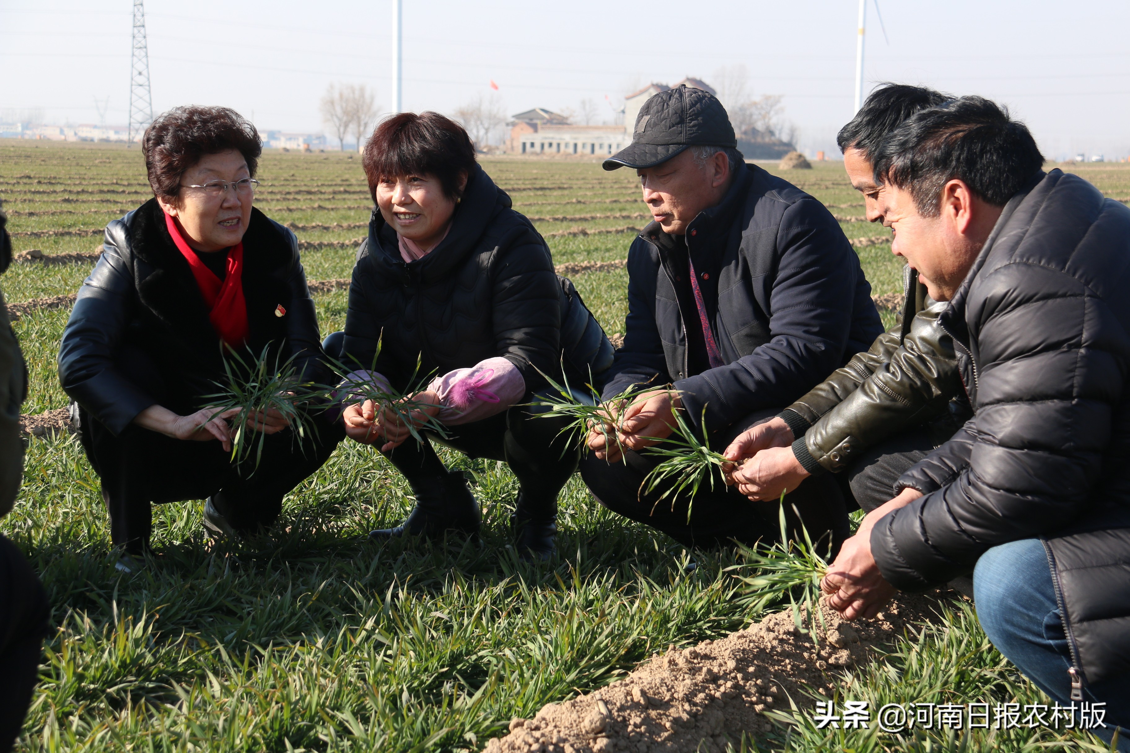 赵秀珍：在河南建立了小麦繁种和优质专用粮生产基地50万亩，带动6万余农户，年增收近1亿元