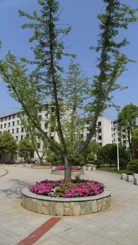 2021年湖南环境生物职业技术学院招生简章（2022参考）