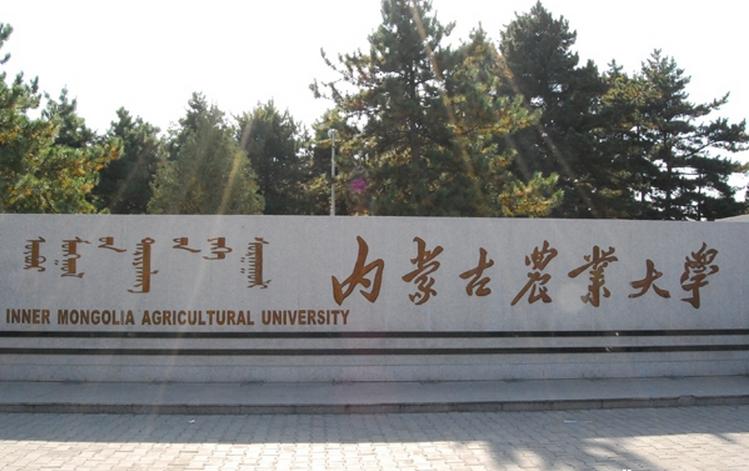 内蒙古工业大学是一本还是二本（内蒙古实力雄厚的大学）