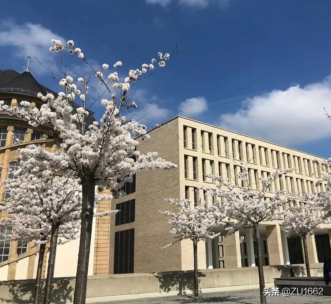 2020年最受欢迎的德国大学