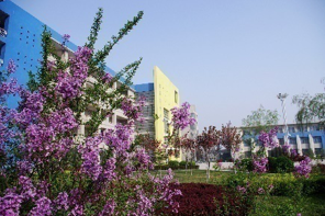 开学啦！长安大学明确秋季学期开学返校时间，还有这些事项需要注意！