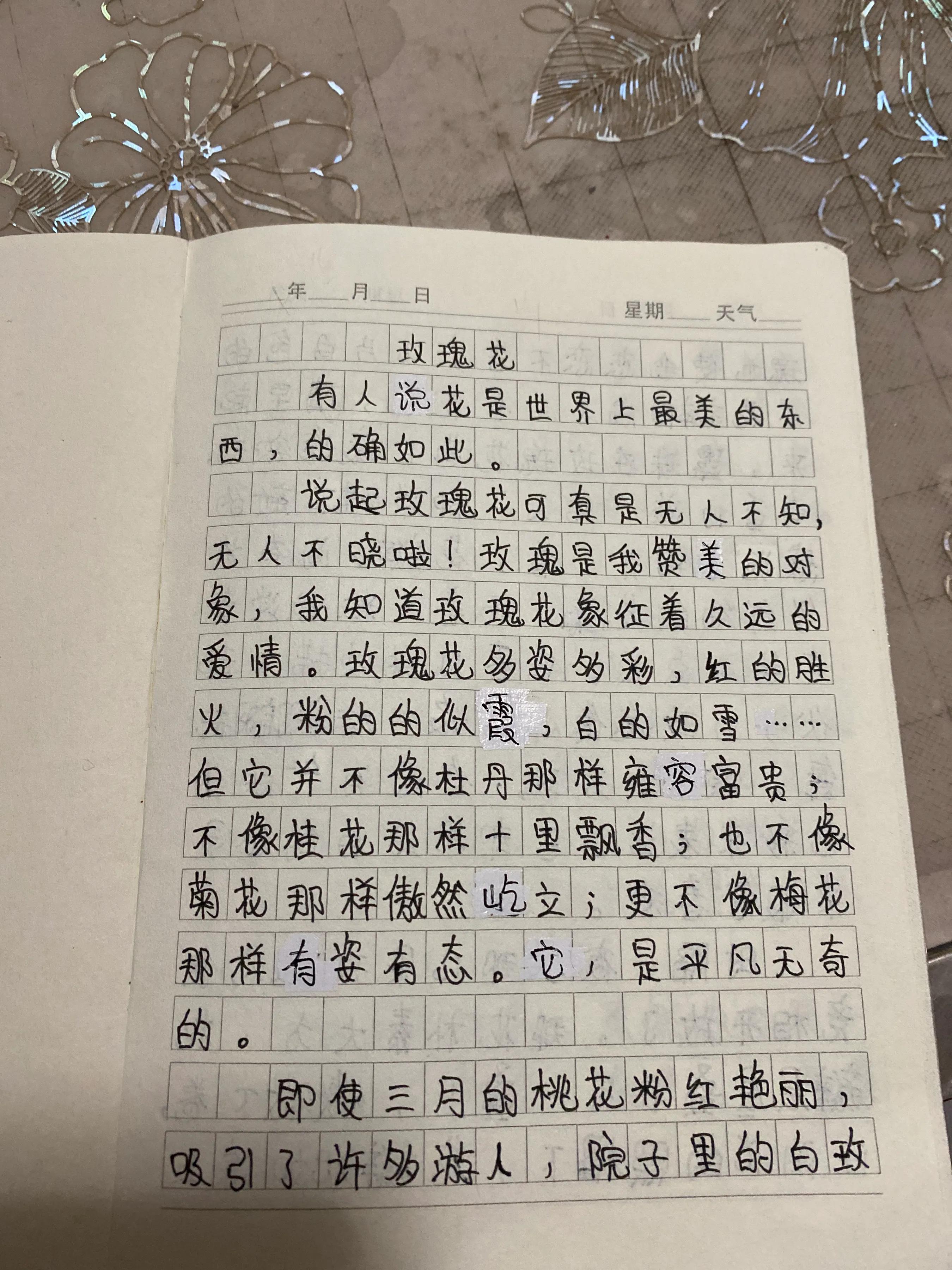 植物作文300字玫瑰花图片