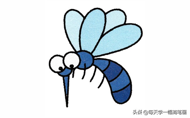 每天学一幅简笔画--蚊子昆虫简笔画步骤图片大全 