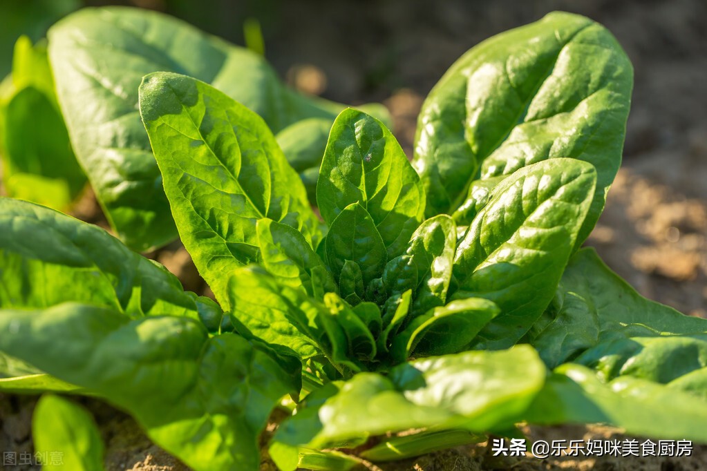减肥期控糖很重要，6种低糖蔬菜要多吃，维C含量高，低脂又营养