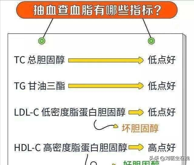 低密度脂蛋白，为什么会高？医生总结：4点主要原因