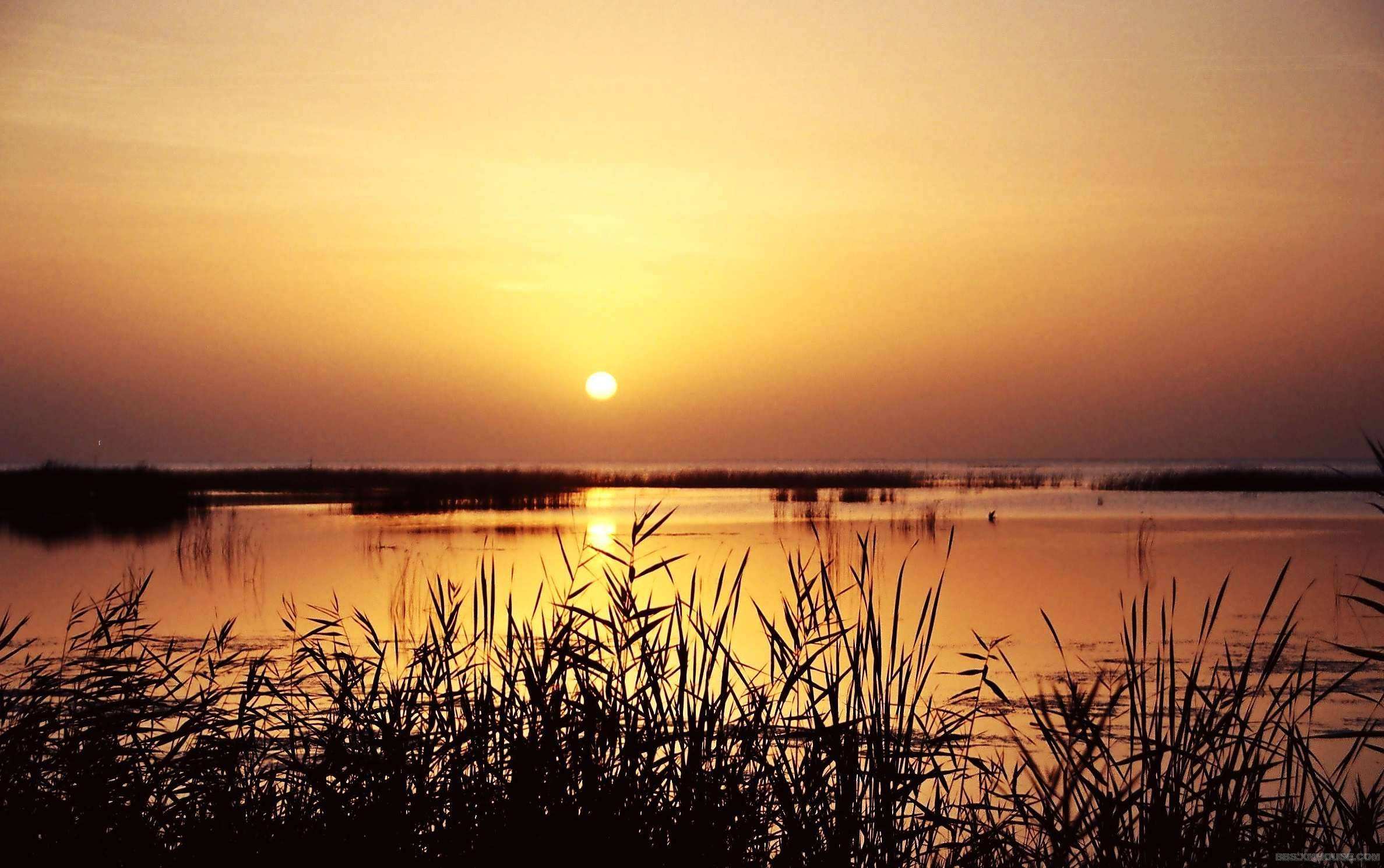 博斯腾湖：中国最大的内陆淡水吞吐湖，也是新疆面积最大的湖泊