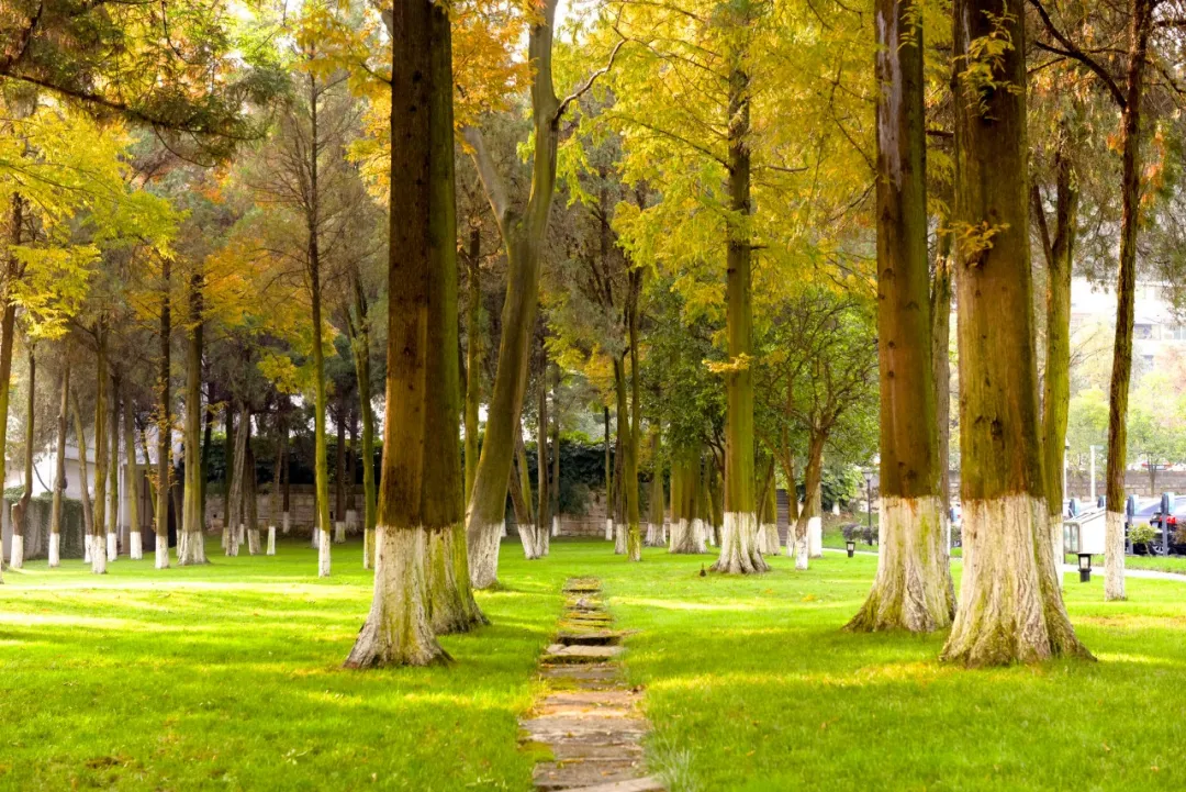 天狂有雨，人狂有祸——做人不能太飘