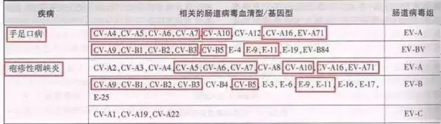 手足口病进入第二个高发期，孩子有这6种症状，需马上就医