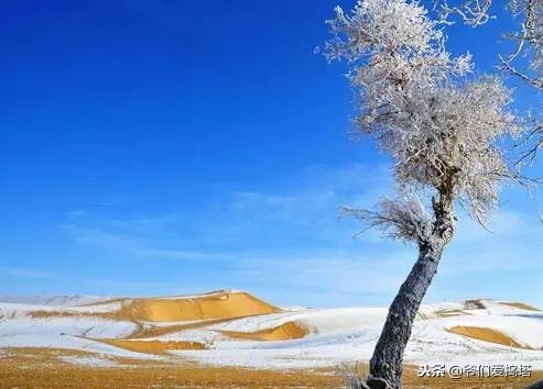 红墙，白雪，琉璃瓦，大雪压青松