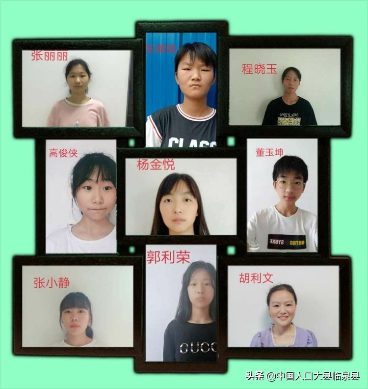 临泉县杨小街中心校2020中考喜报