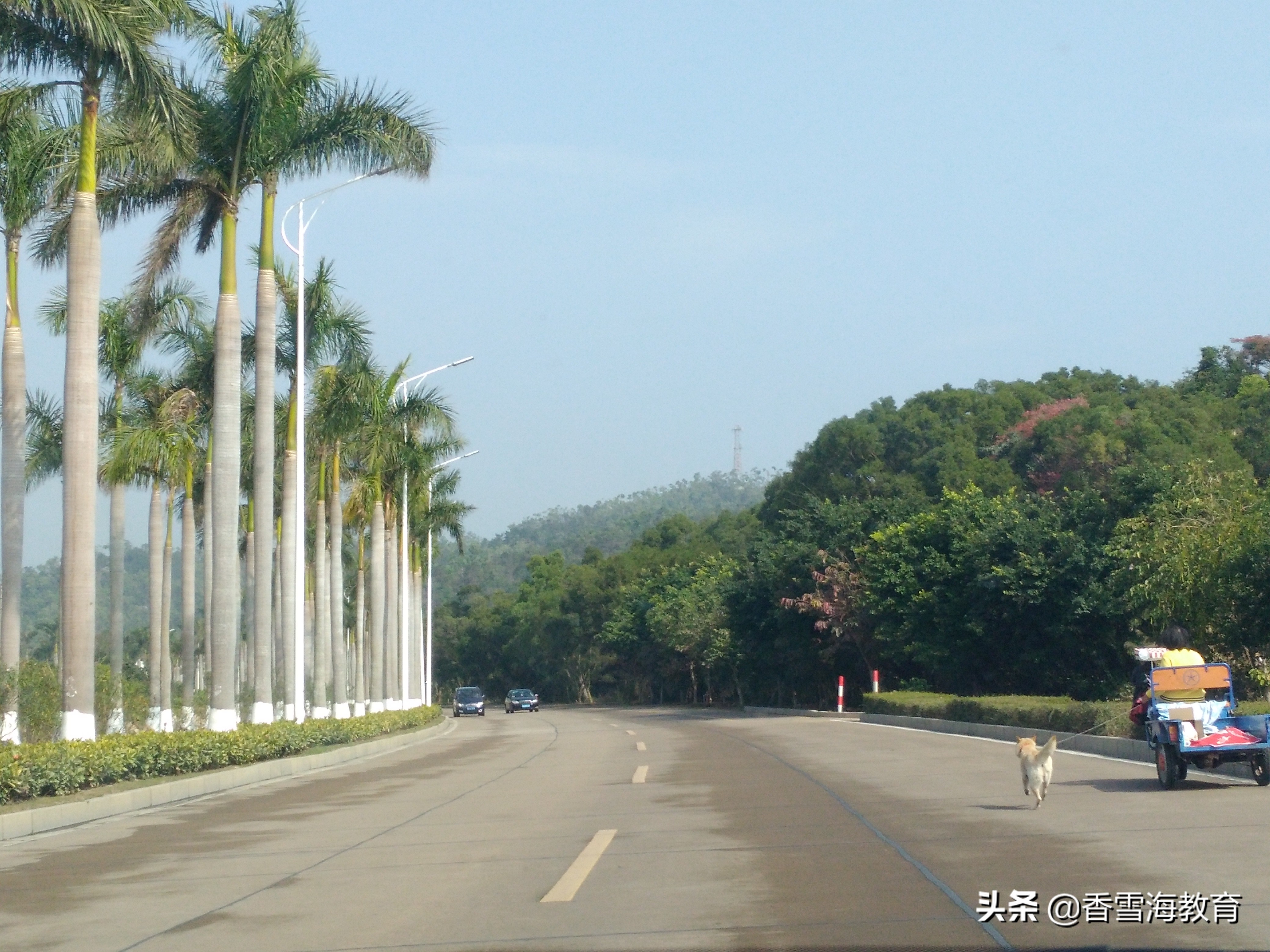 2018年江西省中考语文试卷  参考答案与试题解析