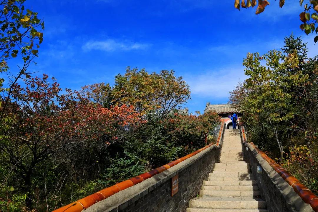 赏秋时节 </p><p>　　 打卡京郊这10条乡村公路，藏着北京最美的秋天