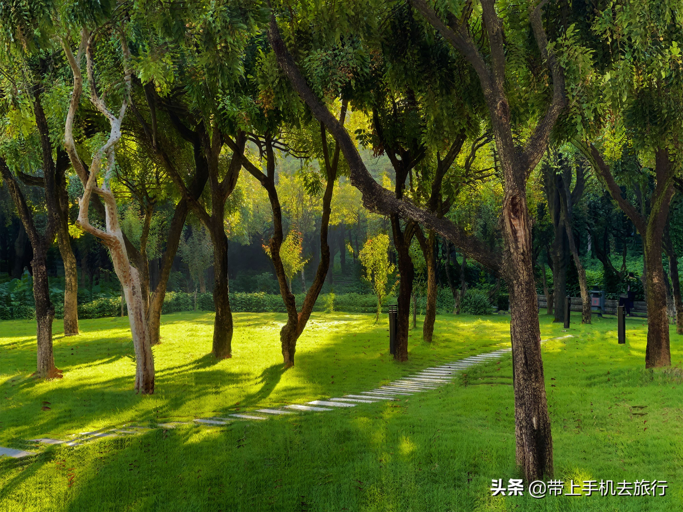 连拍+Snapseed，普通场景即可轻松拍摄画意大片