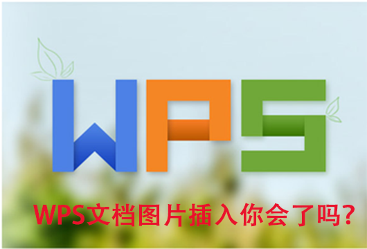 将图片插入wps(“WPS文档图片插入”你怎么处理？)