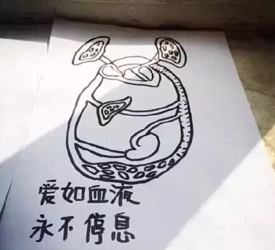 医学生520情话表情包：我愿成为你的皮肤，永远保护你