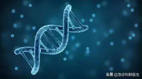 辅酶Q10能给心脏带来什么好处？如何用效果最好？听听医生怎么说