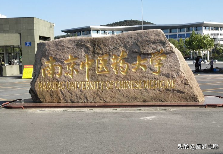 江苏中医药大学(南京中医药大学 郁金香