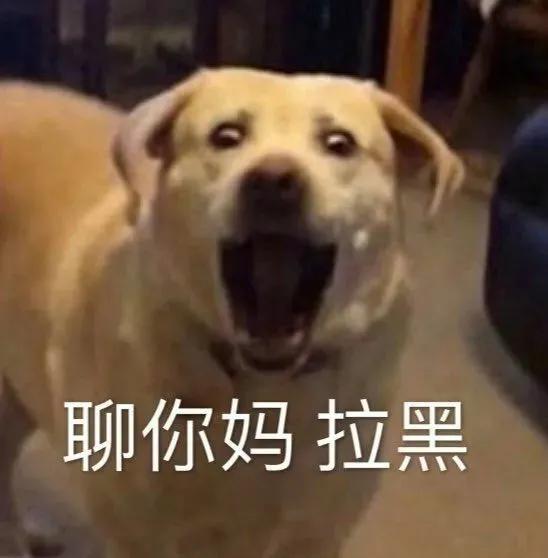 雕表情包 我是一个没有感情的小猪头