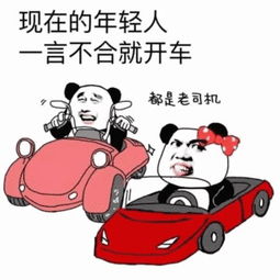 关于开车的表情包合集｜我可以约你一起开车吗