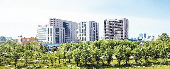 双一流扬帆，山东高校的“青科大力量”