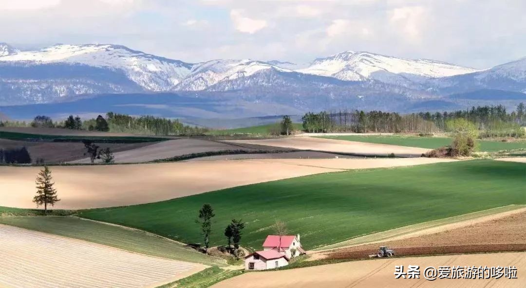 冬天被称为“北海道”，去过这8个观光地是一大乐趣