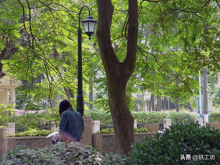 广东五所“不起眼”领域强校！分数线很高，受欢迎程度堪比211