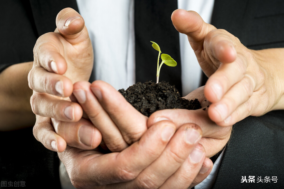 没有资本扶持？这7大商业模式，适合新手！从零开始，低成本创业