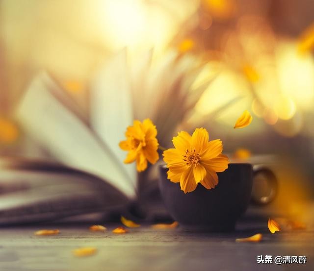 压抑憋屈的心情说说 心情不好很累很无奈图片