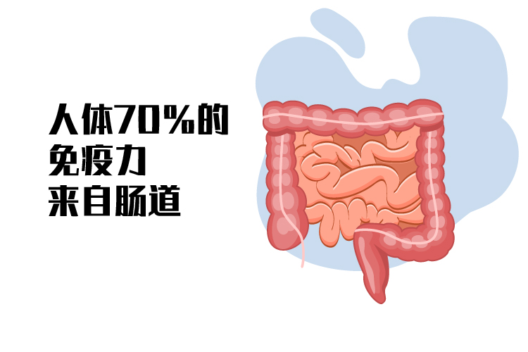 宅家抗疫期间养胃的最佳方法与饮食调理指南